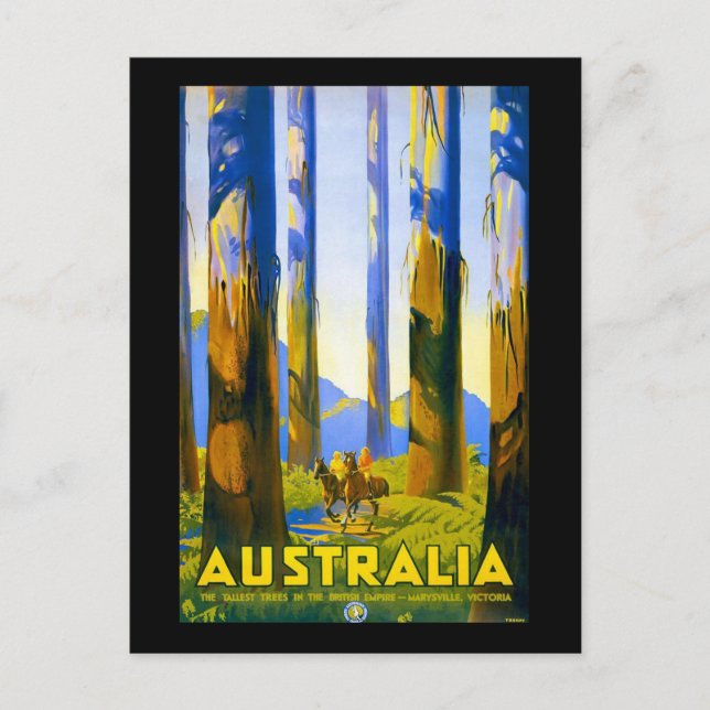 Vintage Australia Marysville Victoria Postcard (Front)