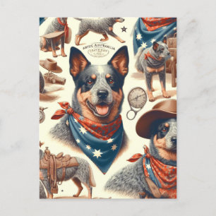 Vintage Australian Cattle Dog Illustration Postcard