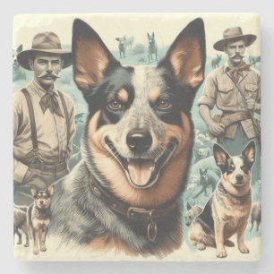 Vintage Australian Cattle Dog Illustration Stone Coaster