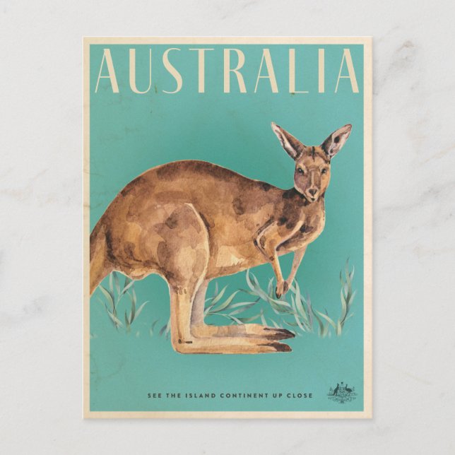 Vintage Australian Kangaroo Travel Postcard (Front)