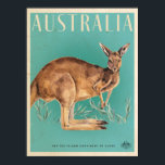 Vintage Australian Kangaroo Travel Poster<br><div class="desc">Retro style australian bush travel poster featuring a kangaroo with eucalpytpus leaves on a bright blue background.</div>