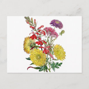Vintage autumn flowers postcard