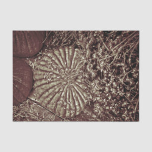 Vintage Autumn Harvest Brown Pumpkins Floral Tissue Paper
