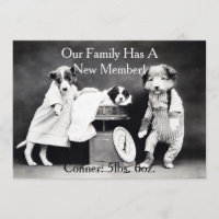 Vintage  B&W Dogs New Puppy Announcement