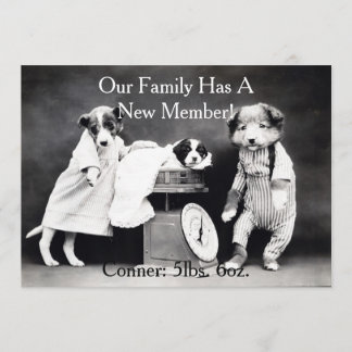 Vintage B&W Dogs New Puppy Announcement