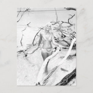 Vintage B&W Photo Florida Bikini Girls Postcard