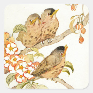 Vintage Baby Birds and Apple Blossoms Square Sticker