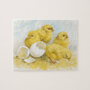 Vintage Baby Chickens Jigsaw Puzzle