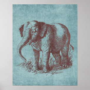 Vintage Baby Elephant Poster
