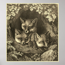 Vintage baby fox woodland poster