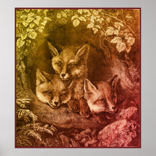 Vintage baby fox woodland smart foxes vintage book poster