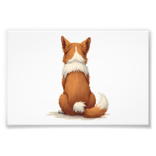 Vintage Back View Dog Illustration on White Backgr Photo Print