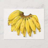 Vintage Banana Fruit Watercolor Painting