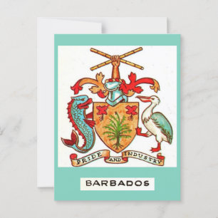 Vintage Barbados Postcard