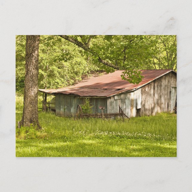 Vintage Barn in Spring Green - Tennessee Postcard (Front)