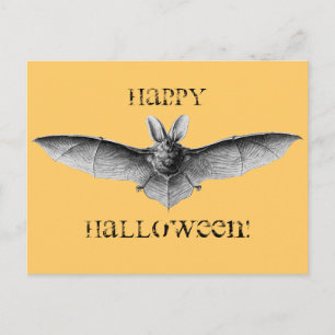 Vintage Bat Illustration Postcard