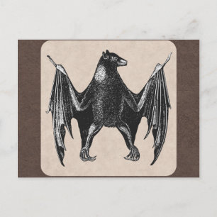 Vintage Bat Print Postcard