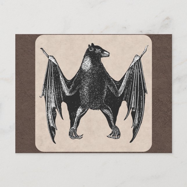 Vintage Bat Print Postcard (Front)