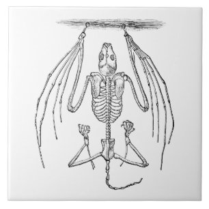 Vintage Bat Skeleton - Bats and Halloween Templat Ceramic Tile