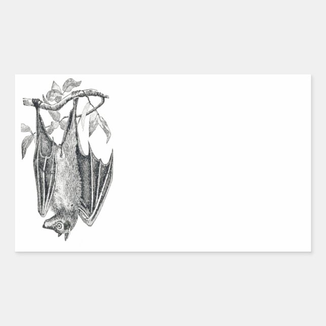 Vintage Bat Sticker (Front)