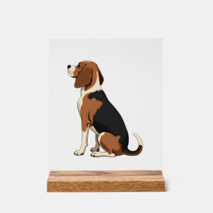 Vintage Beagle Dog Back View Illustration Pet Love Acrylic Sign