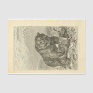 Vintage Bear Ephemera Decoupage Tissue Paper