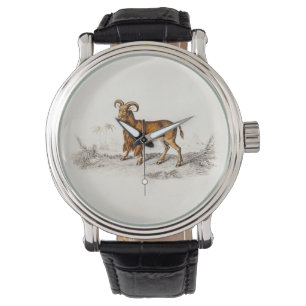 Vintage Bearded Goat Drawing Retro Beard Goats Watch