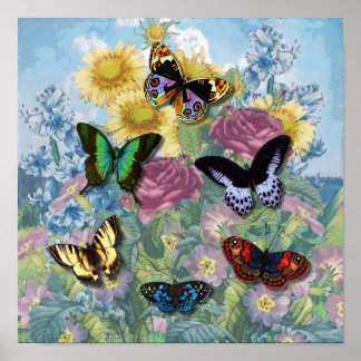 Vintage "Beautiful Butterflies" Poster
