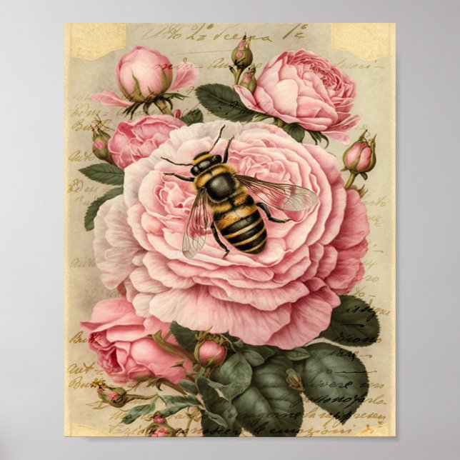 Vintage Bee and Pink Roses Poster (Front)
