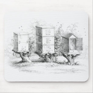 Vintage Bee Boxes Honey Mouse Pad