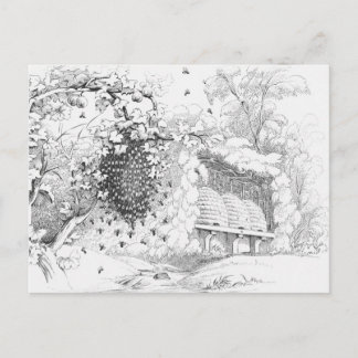 Vintage Bee Hives Postcard