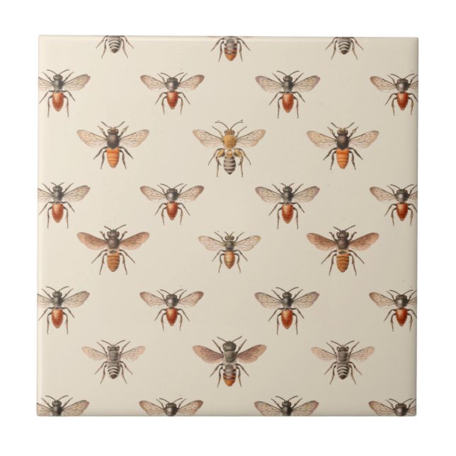 Vintage Bee Illustration Pattern Ceramic Tile (Front)