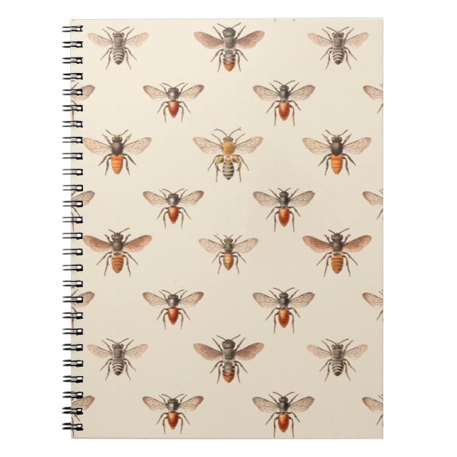 Vintage Bee Illustration Pattern Notebook (Front)