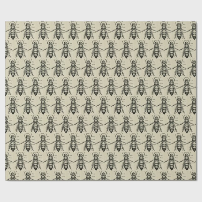 Vintage Bee Illustration Pattern Wrapping Paper (Flat)