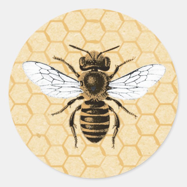 Vintage Bee on Honeycomb Classic Round Sticker (Front)