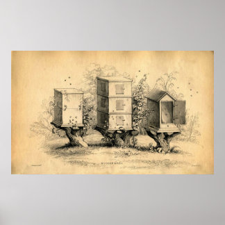 Vintage Beekeeping Beehives Beehive Print