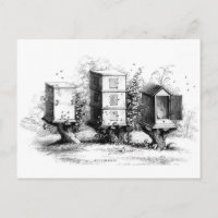 Vintage Bees Beehive Beekeeping Beehives