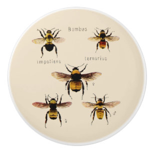 Vintage Bees Ceramic Knob