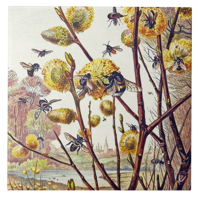 Vintage Bees Insects Spring Willow Blossom Ceramic Tile (Front)