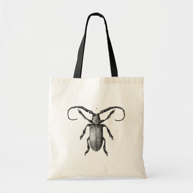 Vintage beetle illustration bag (Front)