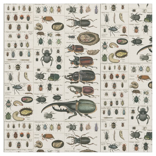 Vintage Beetle Illustration Fabric (Close Up)