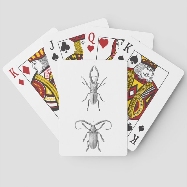 Vintage beetle illustration playing cards (Back)