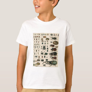 Vintage Beetle Illustration T-Shirt