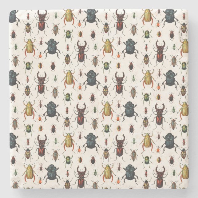 Vintage Beetles Stone Coaster (Front)