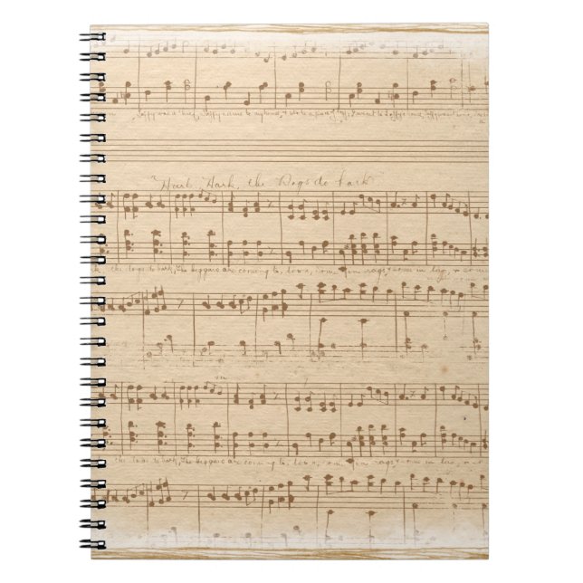 Vintage beige music notes notebook (Front)