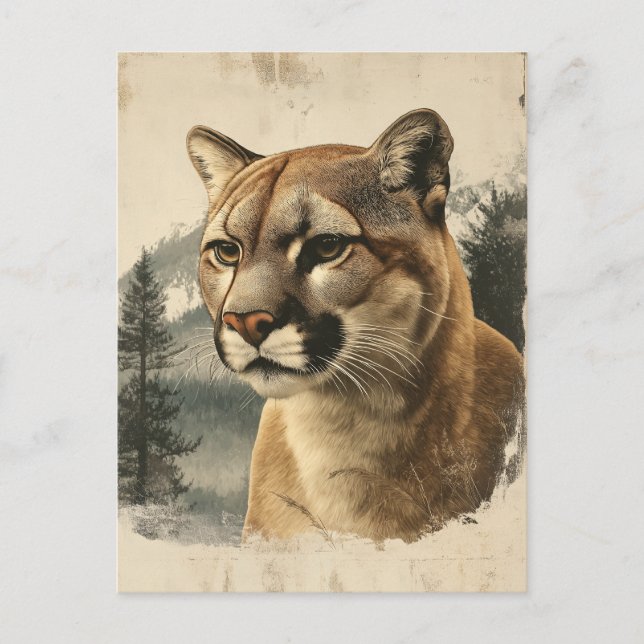 Vintage Berglöwe Postcard (Front)