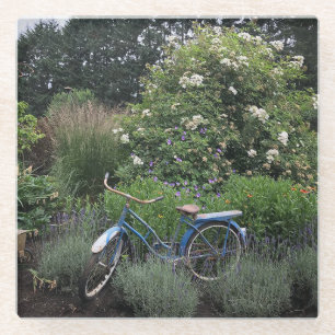 Vintage Bicycle in Garden Glass Coaster