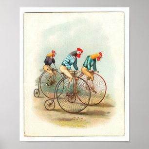 Vintage Bicycle Poster, Pennyfarthing Roosters Poster