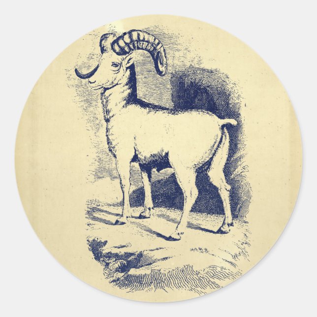 VINTAGE BIG HORN SHEEP CLASSIC ROUND STICKER (Front)