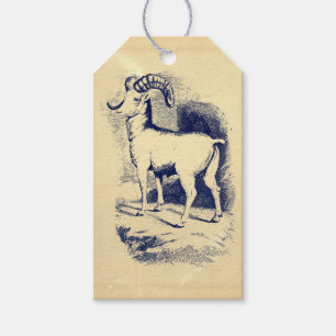 VINTAGE BIG HORN SHEEP GIFT TAGS